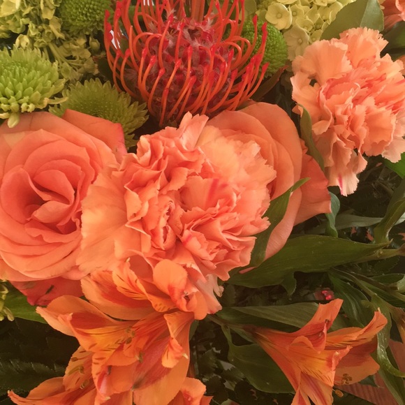 Meet your Posher, Charity - Picture 1 of 1